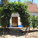 Domek winiarski w Čejču